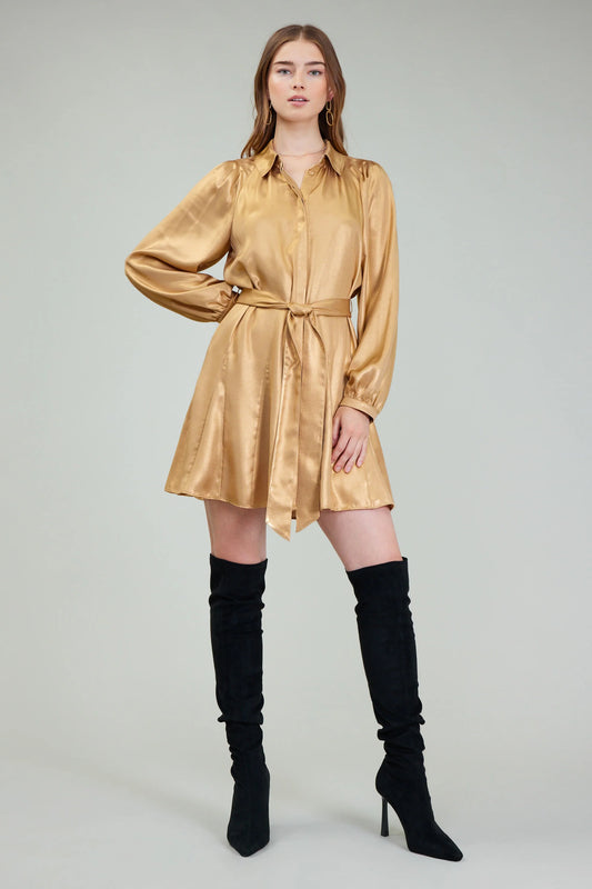 Gold Metallic Mini Dress