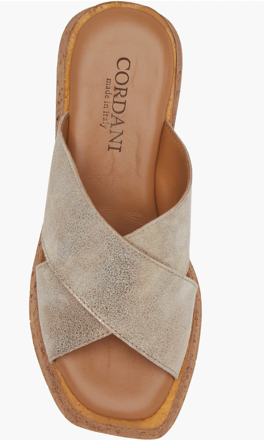 Frida Platform Wedge Slide Sandals