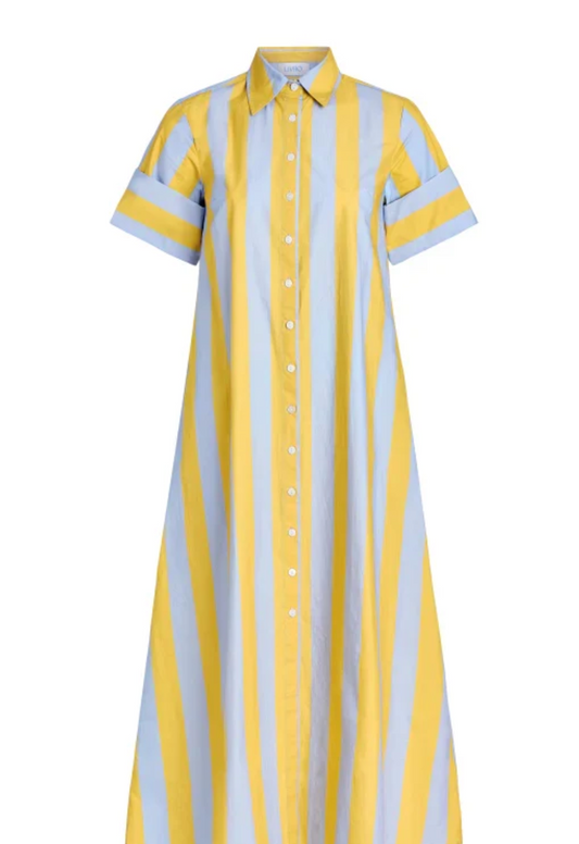 Gibbons Dress | Brimstone Stripe