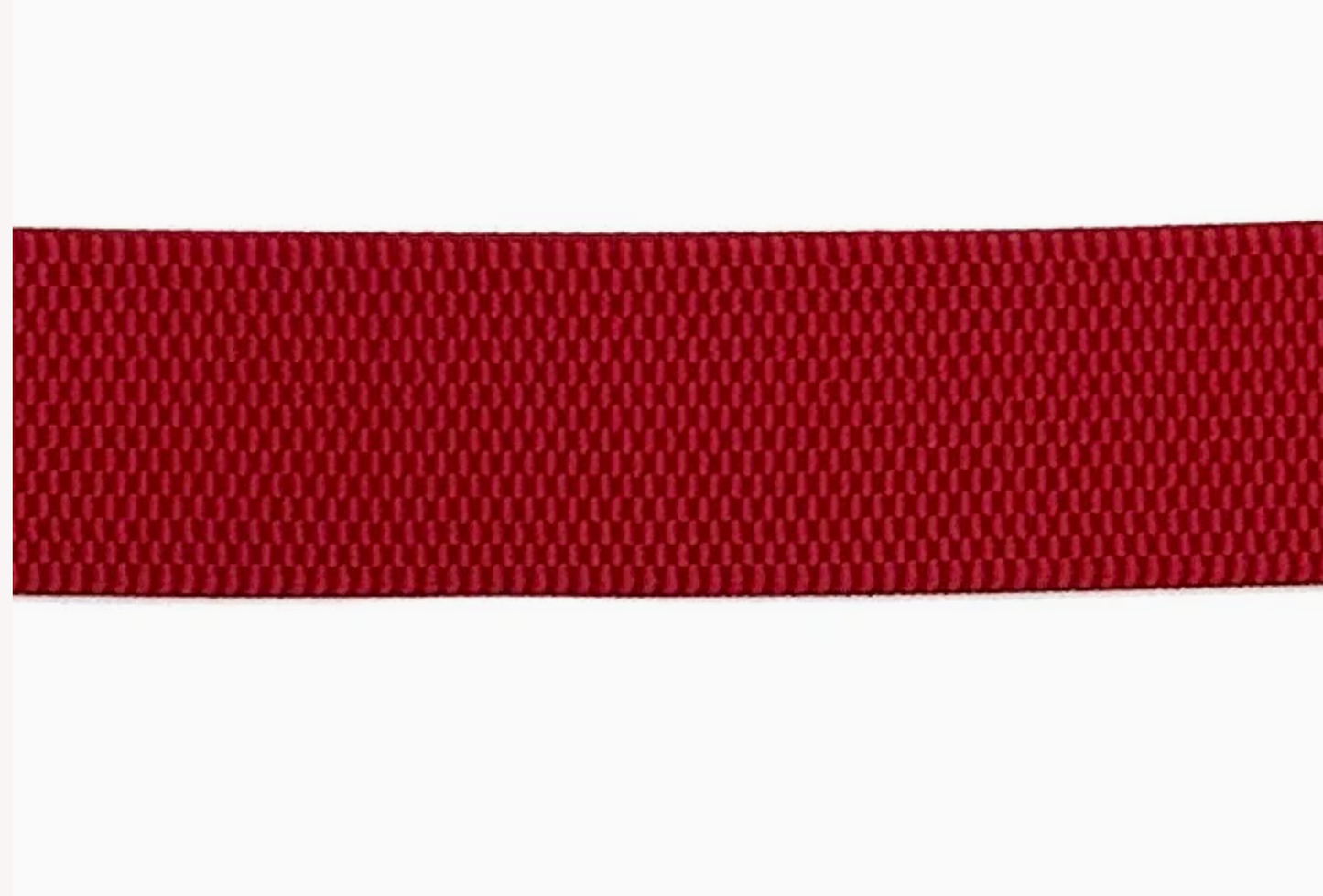 Stretch Band Belt